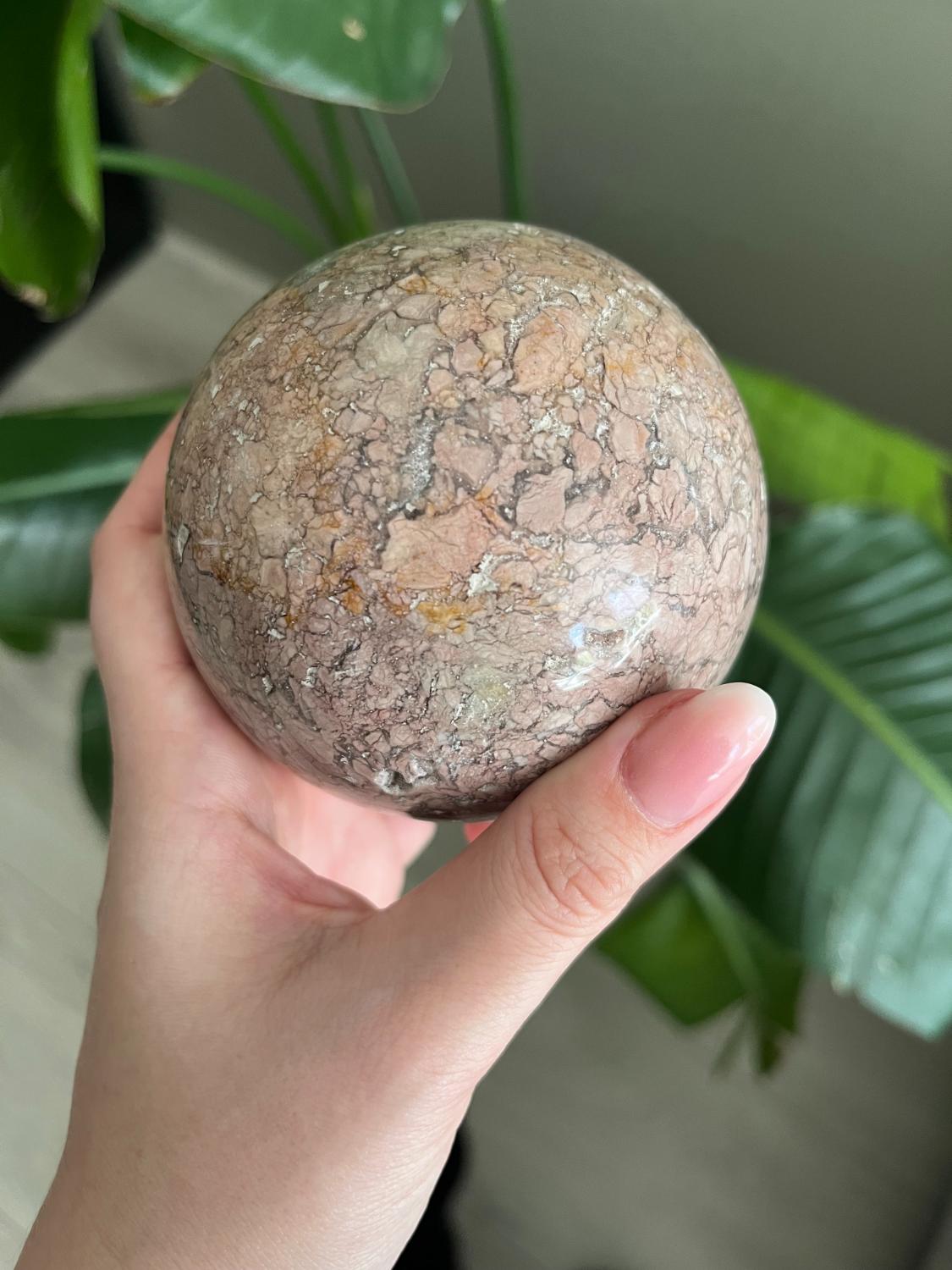 Bollen