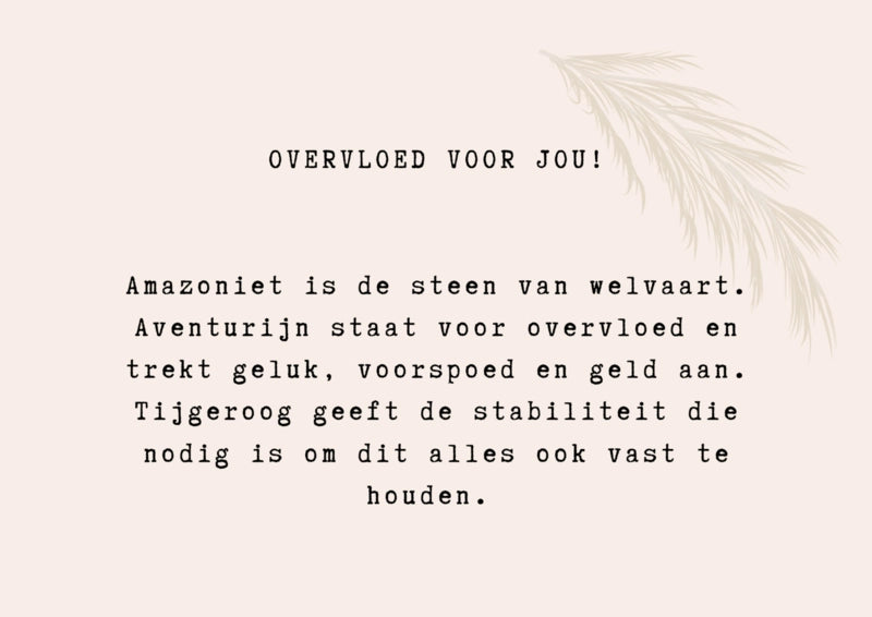 Affirmatie Armbandje - Overvloed voor jou!