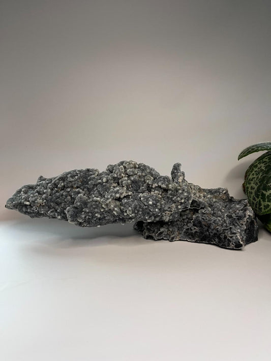 Ruwe Chalcedoon XXL