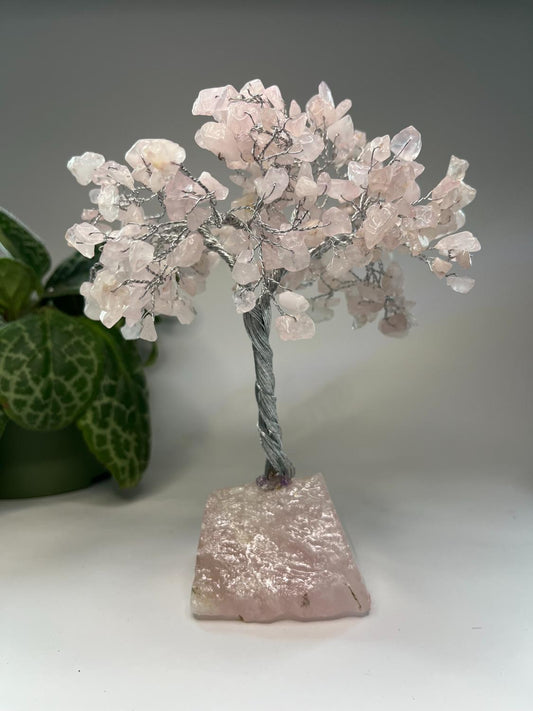 Edelsteenboom Rozenkwarts