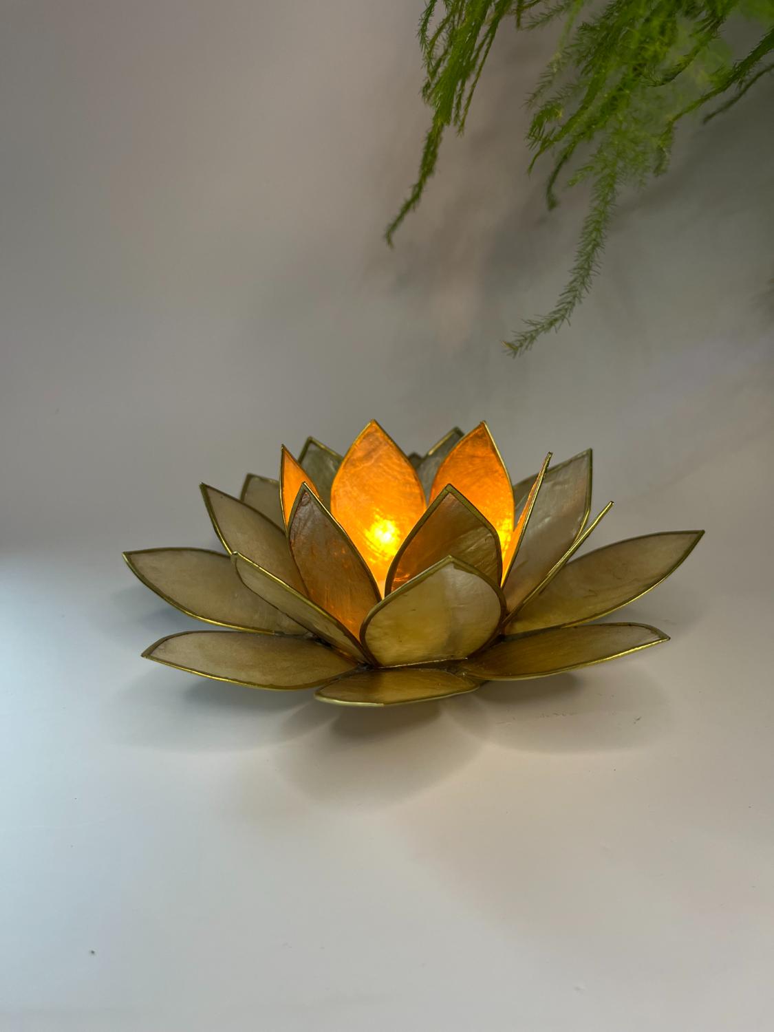 Lotus Sfeerlicht Smoked