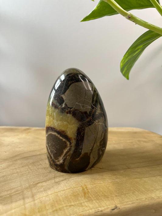 Septarie Sculptuur
