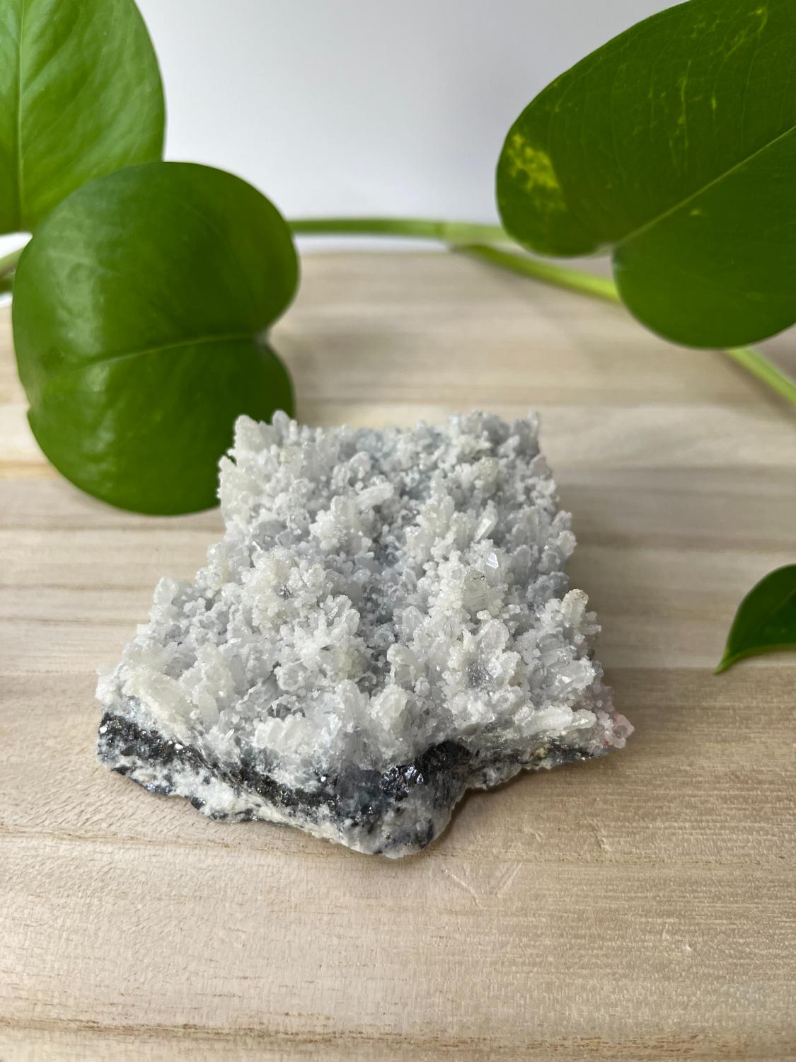 Naaldkwarts Cluster met Pyriet – nr. 12