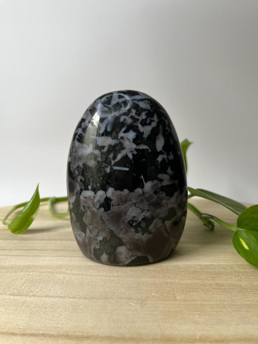 Gabbro Sculptuur