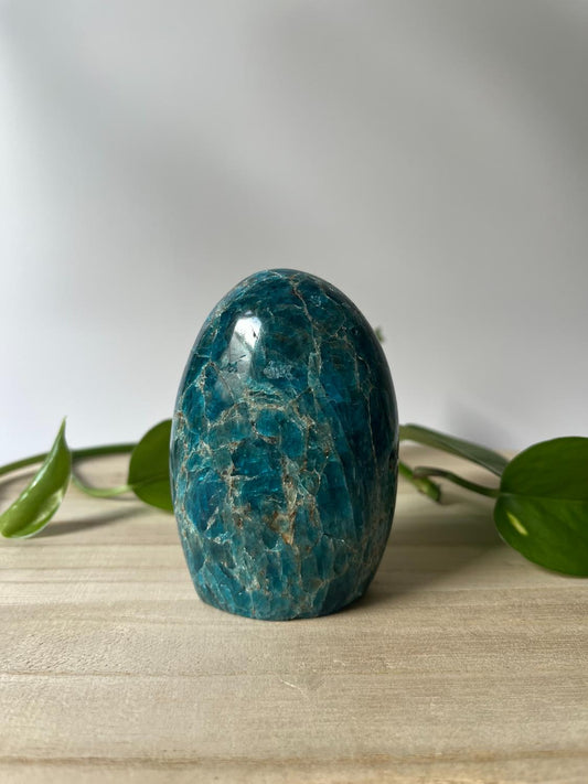 Blauwe Apatiet Sculptuur – nr. 9