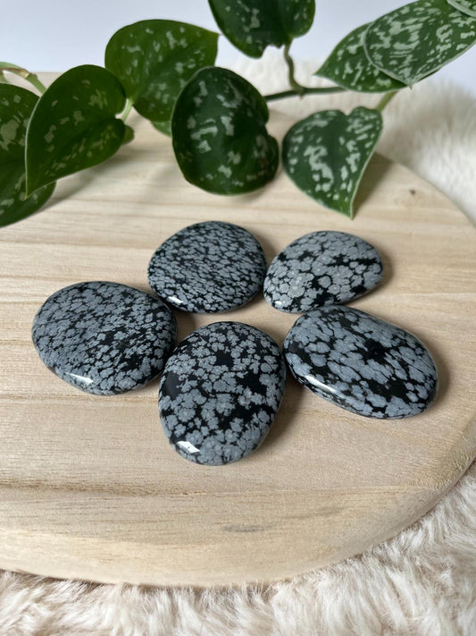 Obsidiaan Sneeuwvlok Schijfsteen