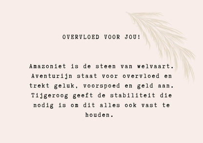 Affirmatie Armbandje - Overvloed voor jou!