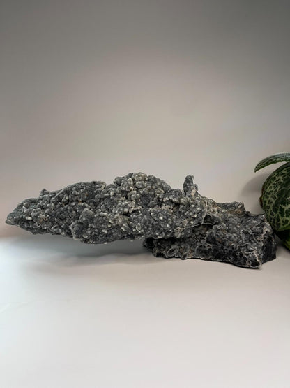 Ruwe Chalcedoon XXL