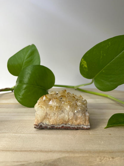 Burnt Amethyst Cluster - choose your favorite