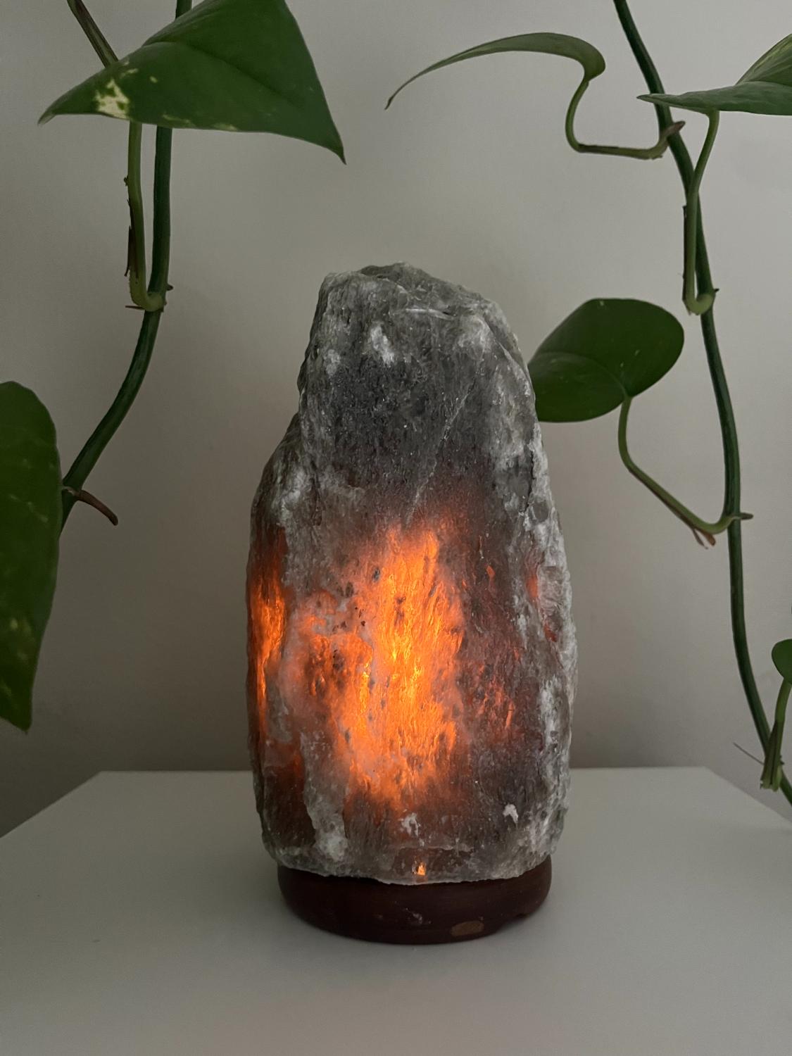 Himalaya Zoutlamp Grijs