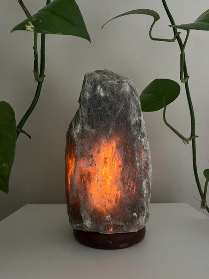 Himalaya Zoutlamp Grijs