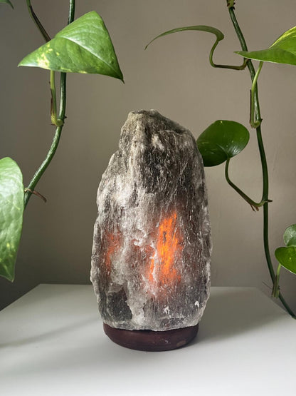 Himalaya Zoutlamp Grijs