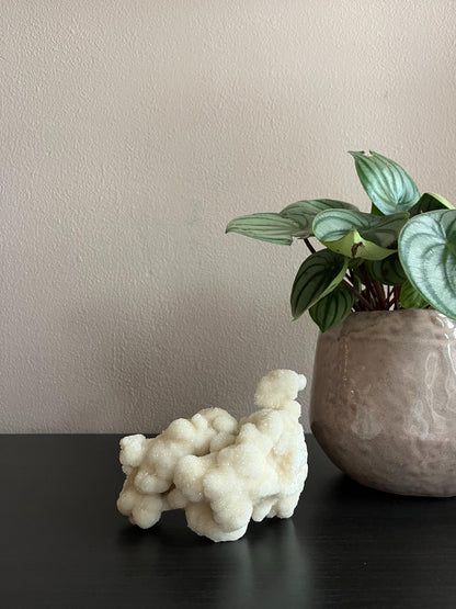 Druzy Calciet - nr. 1