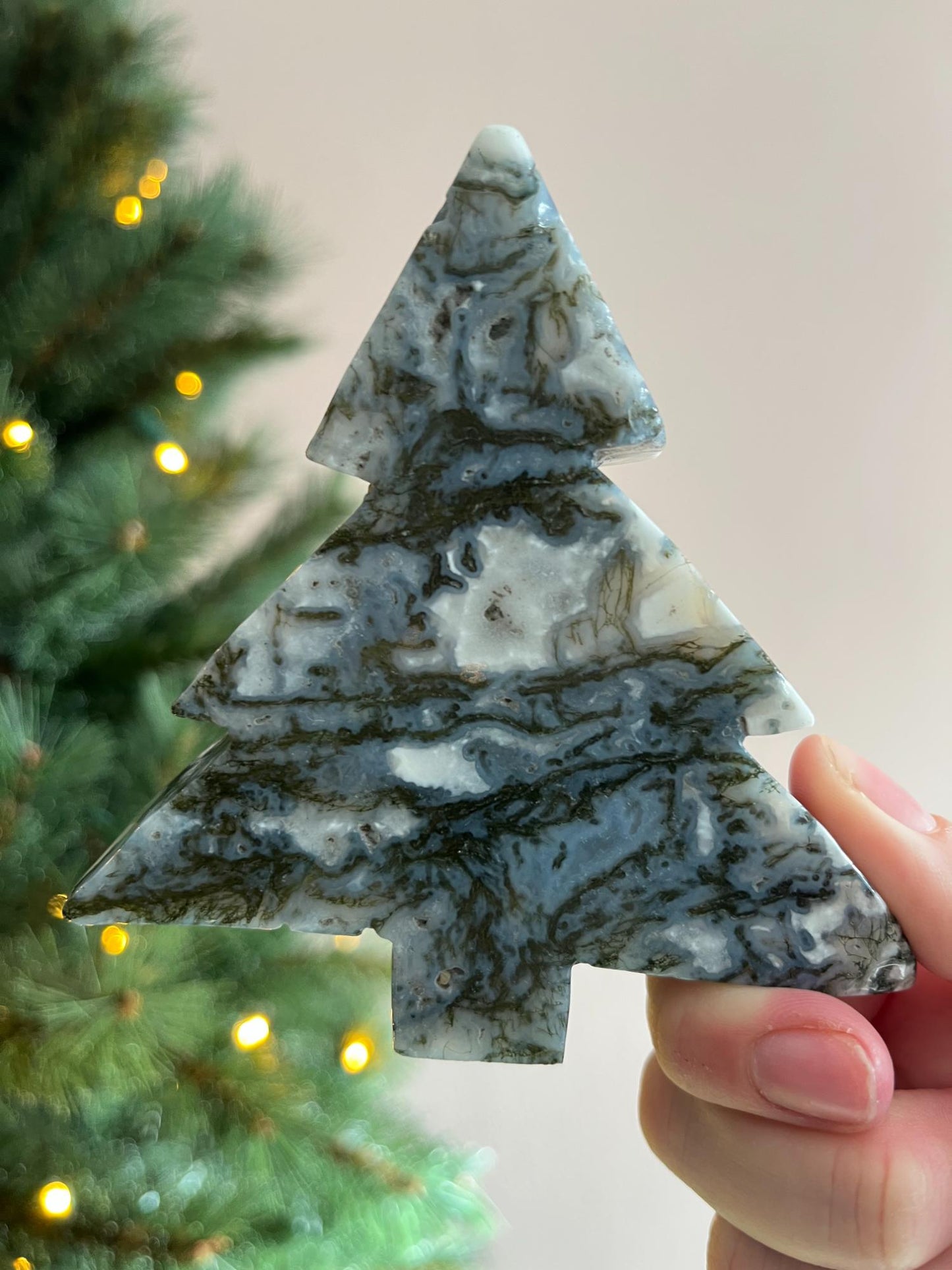 Mosagaat Kerstboom Groot - kies jouw favoriet