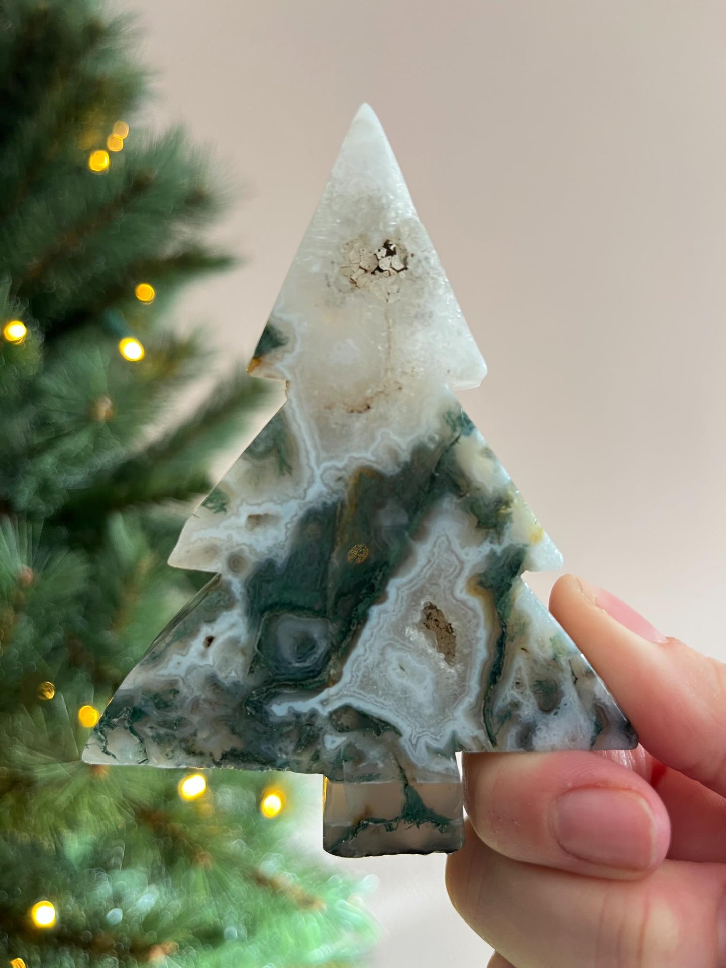 Mosagaat Kerstboom Groot - kies jouw favoriet