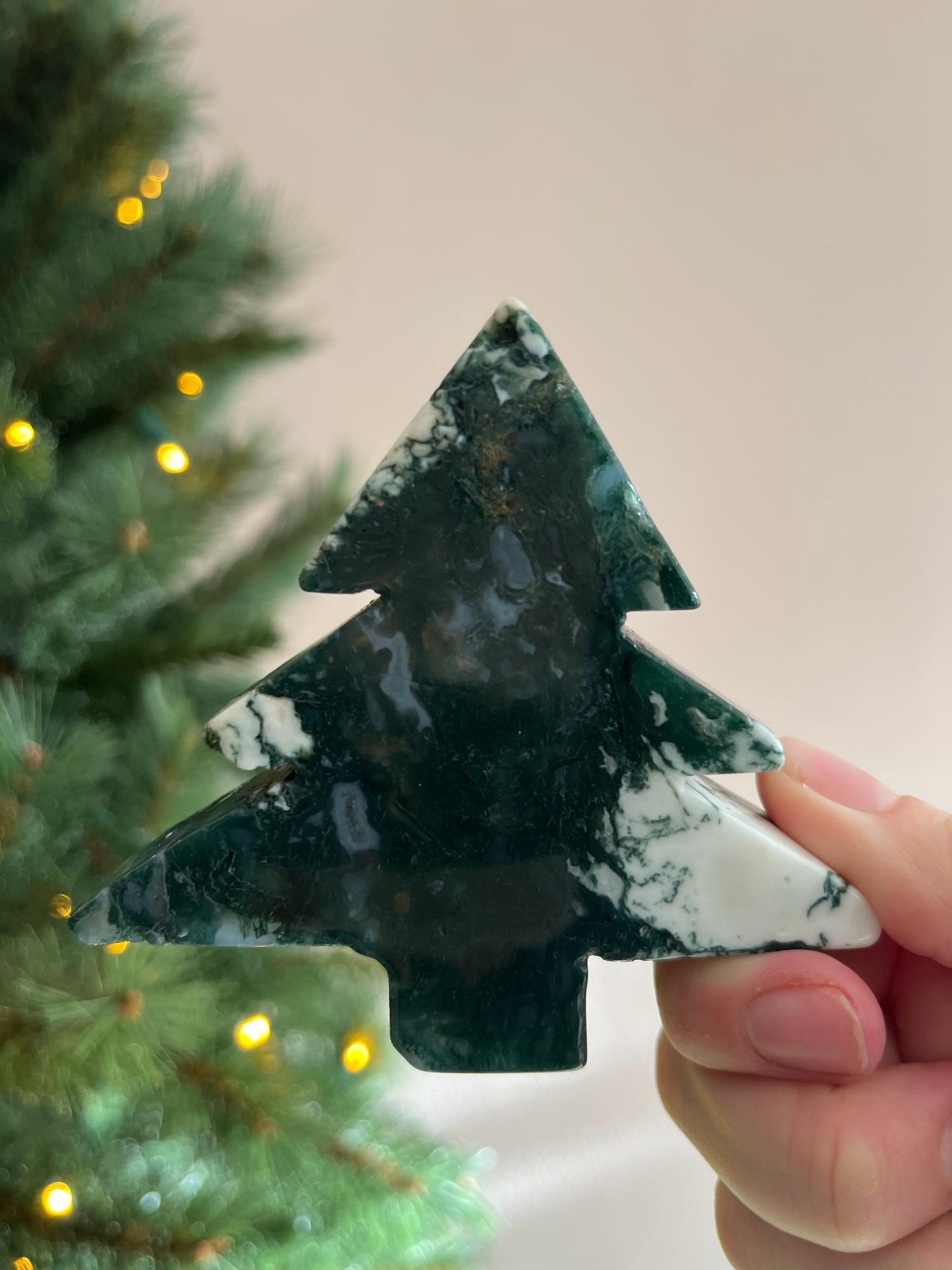 Mosagaat Kerstboom Groot - kies jouw favoriet