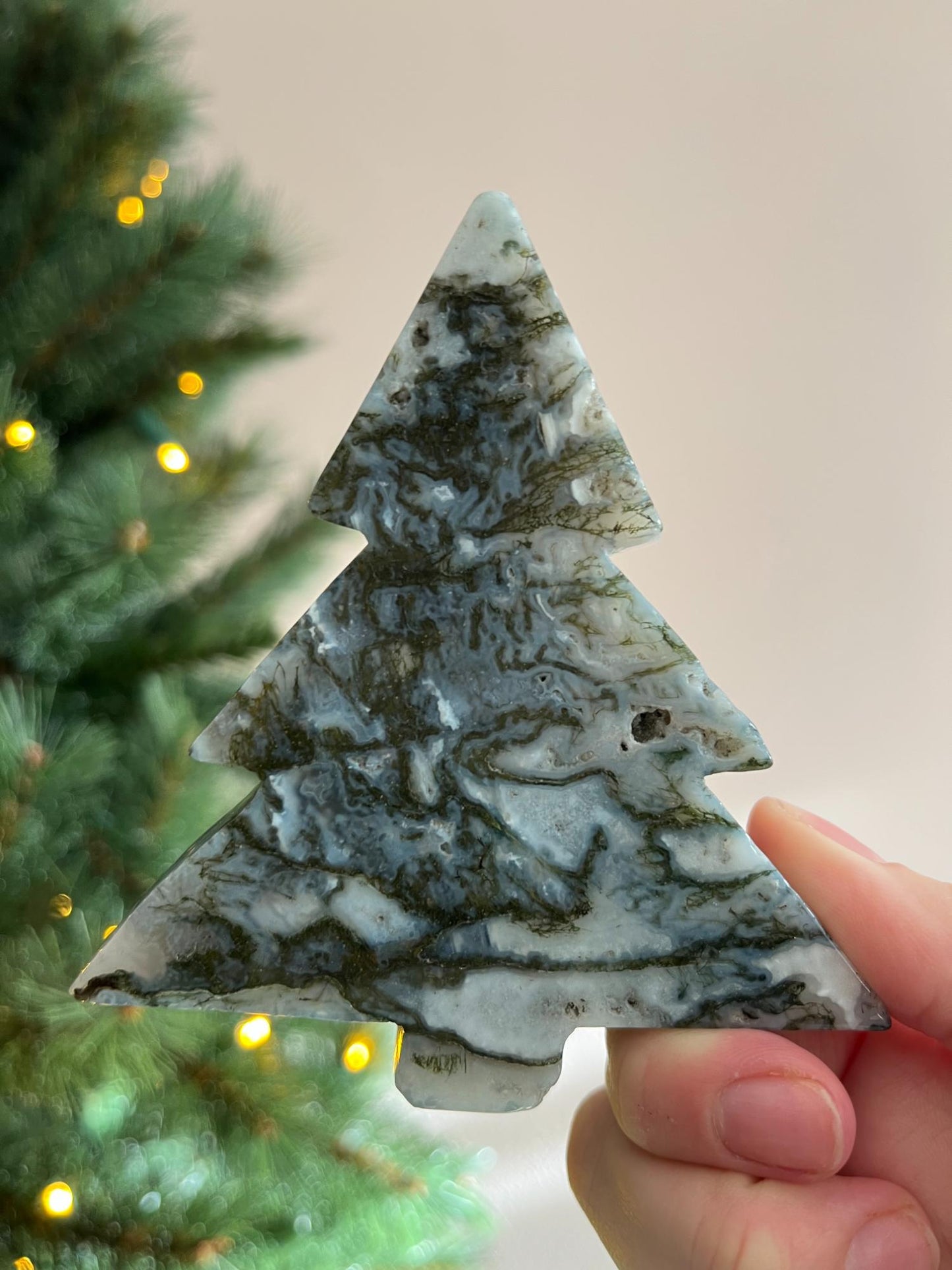 Mosagaat Kerstboom Groot - kies jouw favoriet