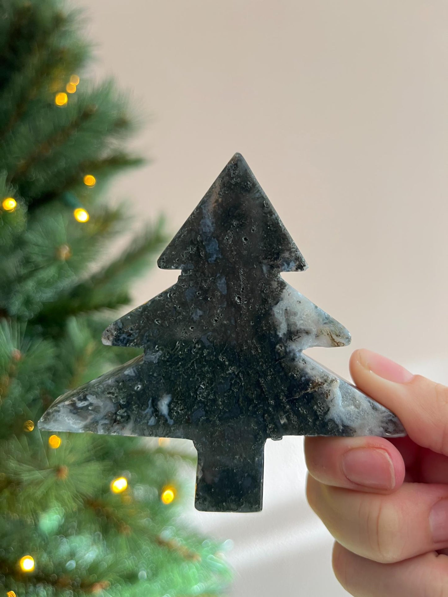 Mosagaat Kerstboom Groot - kies jouw favoriet