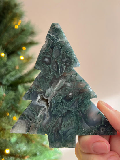 Mosagaat Kerstboom Groot - kies jouw favoriet