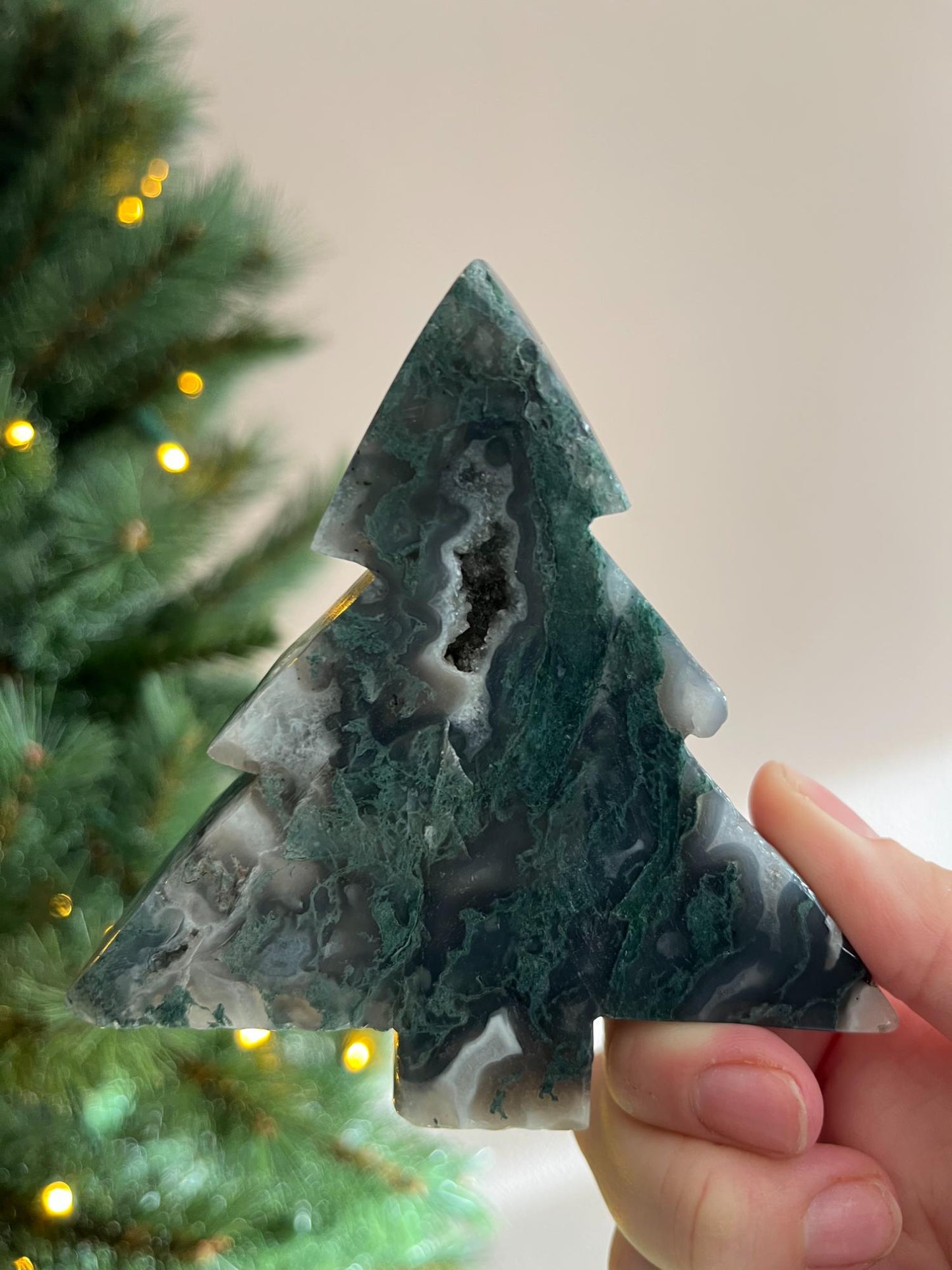 Mosagaat Kerstboom Groot - kies jouw favoriet