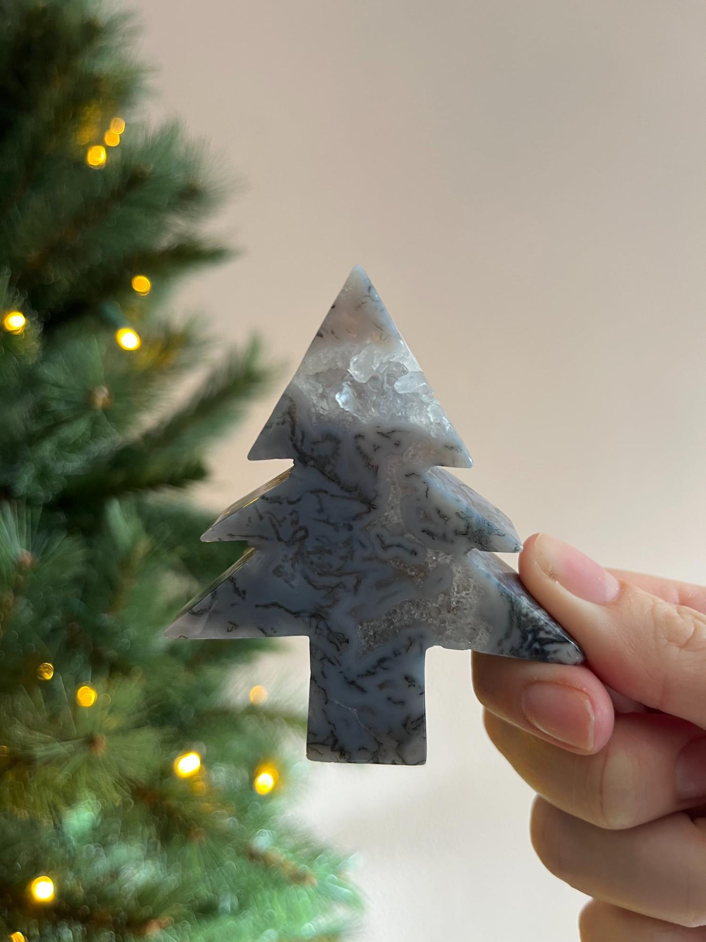 Mosagaat Kerstboom Klein - kies jouw favoriet