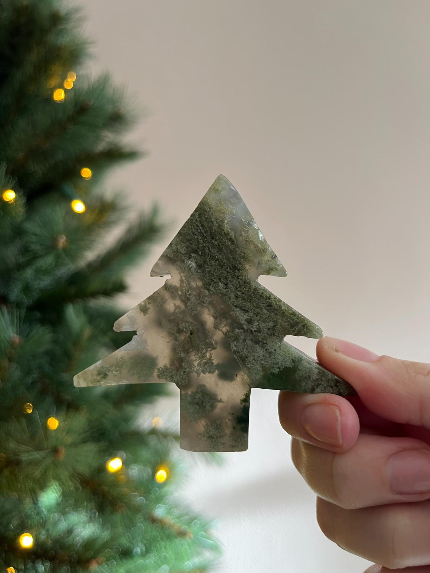 Mosagaat Kerstboom Klein - kies jouw favoriet