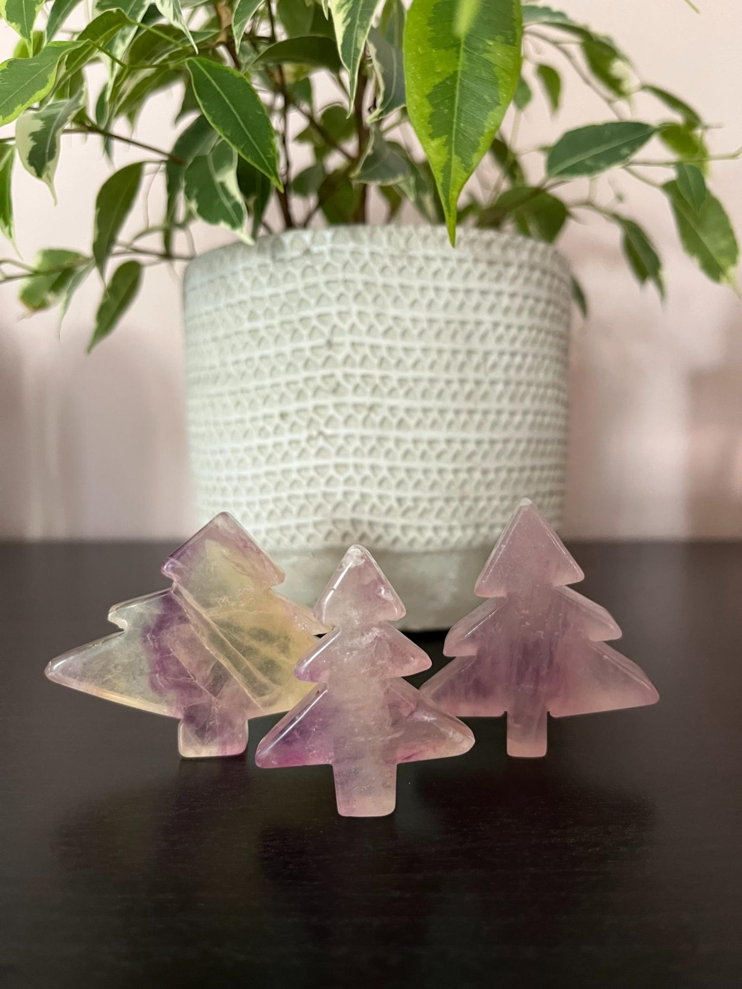 Fluoriet Kerstboom Setje - kies jouw favoriet